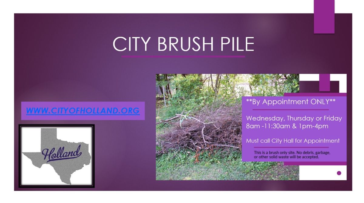 Brush Pile by Appointment