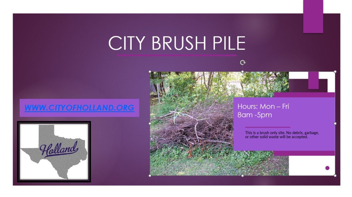 City Brush Pile